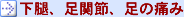 下腿、足関節、足の痛み